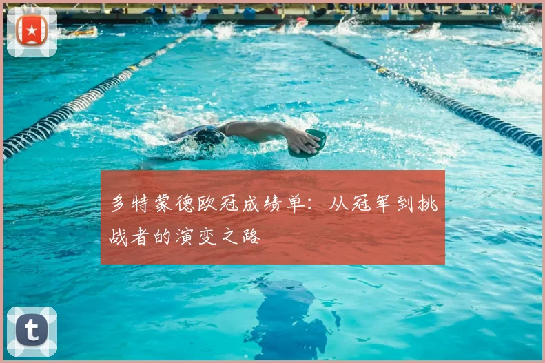 多特蒙德欧冠成绩单：从冠军到挑战者的演变之路