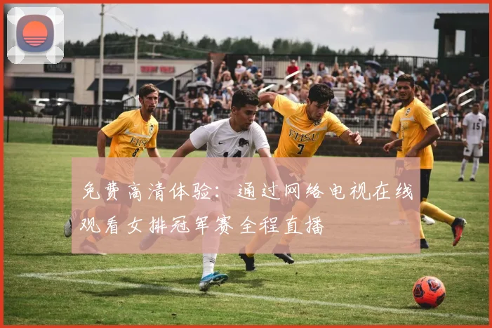 免费高清体验：通过网络电视在线观看女排冠军赛全程直播