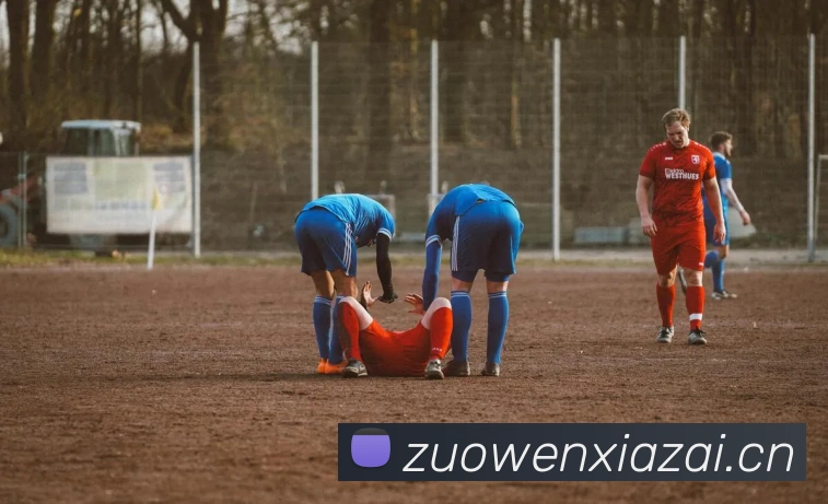 乐竞体育首页平台生态图